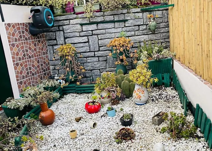 Serendipity House 圣雷默